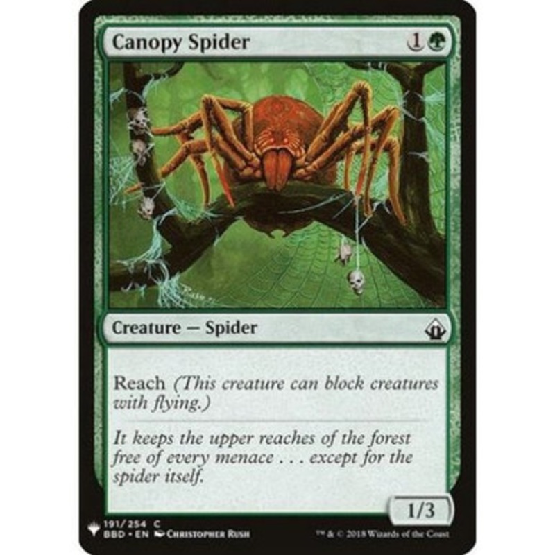 Canopy Spider
