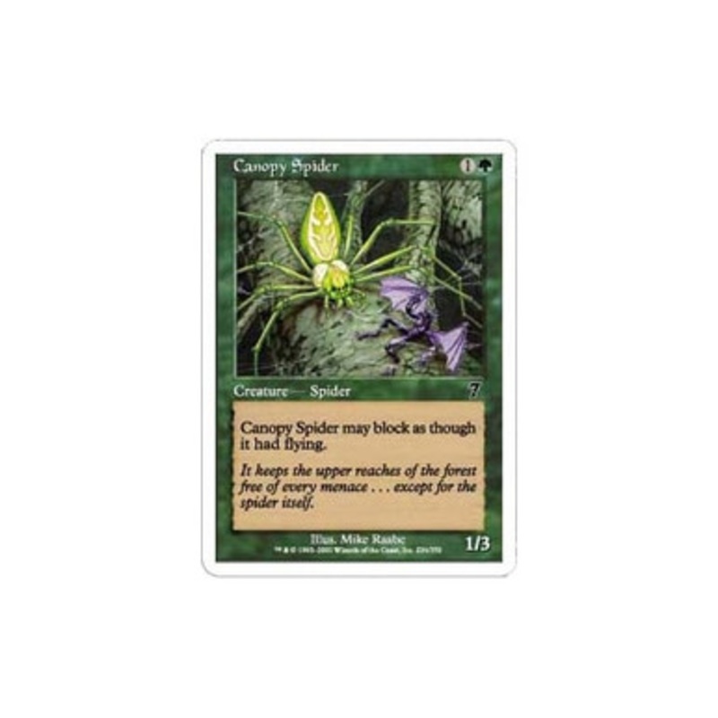 Canopy Spider | 7th Edition