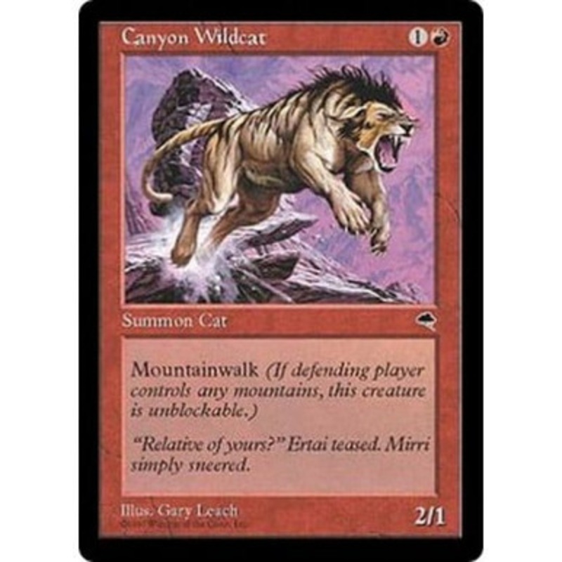 Canyon Wildcat | Tempest