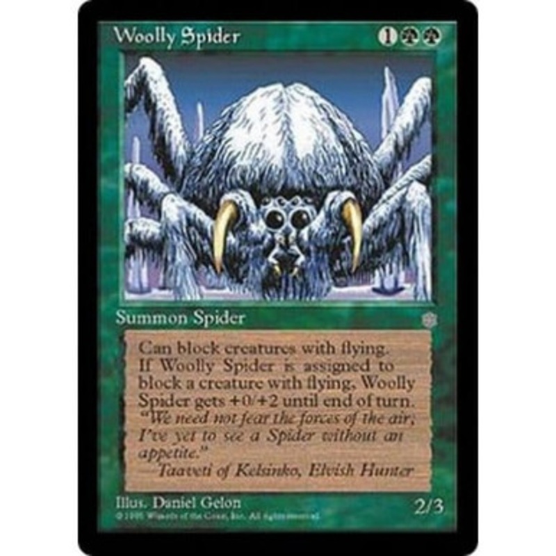Woolly Spider