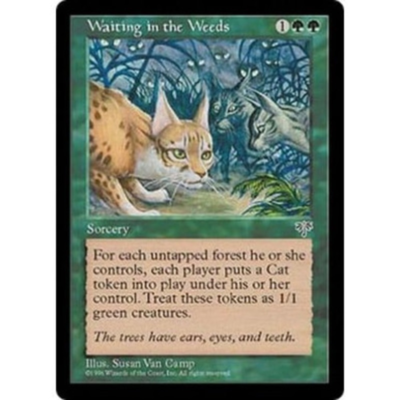 Waiting in the Weeds | Mirage