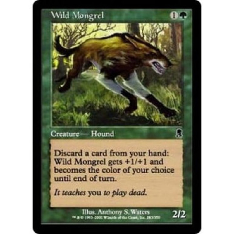 Wild Mongrel | Odyssey