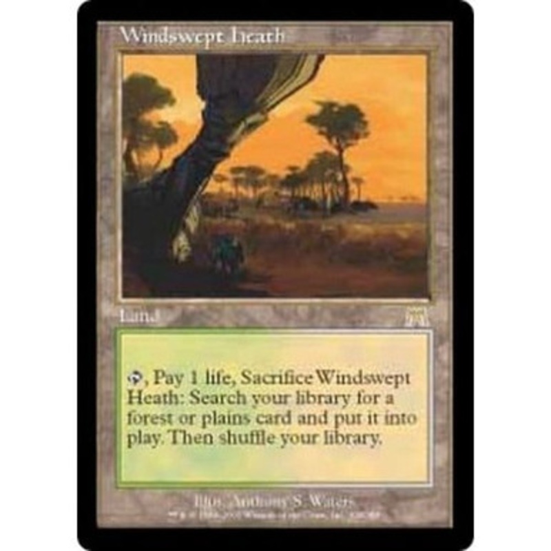 Windswept Heath