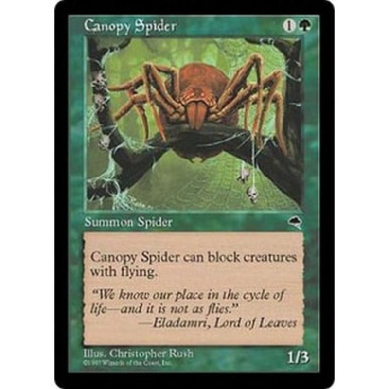 Canopy Spider | Tempest
