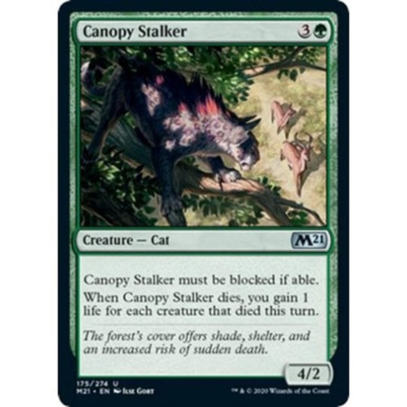 Canopy Stalker (foil) | Core Set 2021